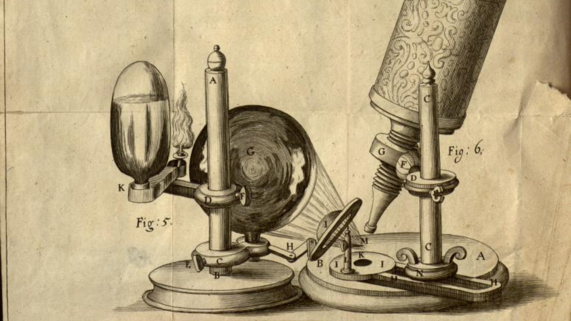 Robert Hooke Microscope