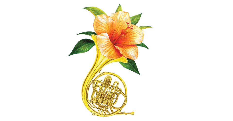 An illustration of an orange tropical flower coming out of a french horn.