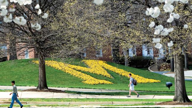 alumni give background Thumbnail
